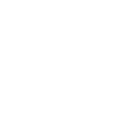E curie nomad 2